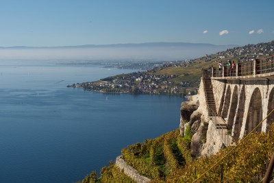 (159) Terrasses de Lavaux