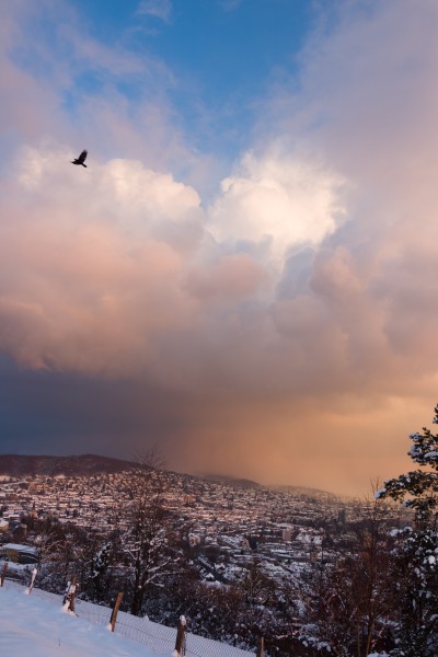 (119) stormcloud over Zürich