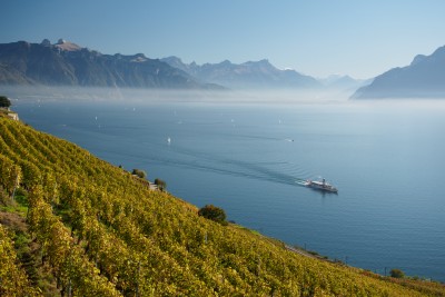 (129) Terrasses de Lavaux