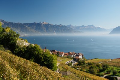 (130) Terrasses de Lavaux