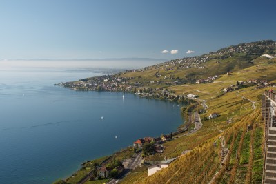 (131) Terrasses de Lavaux