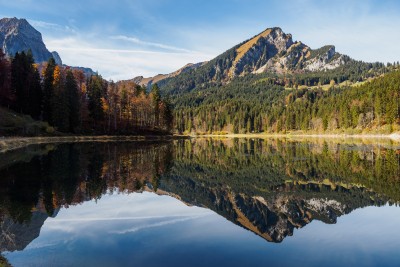 (246) Obersee