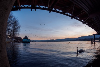 (262) lake Zürich from under a bridge