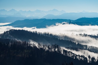 (248) Albis im Nebel