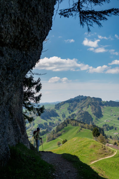 (335) Appenzellerland